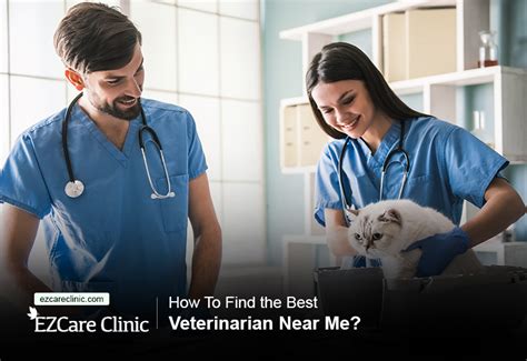 veterinario elisa versace roma rm|Top 10 Best Veterinarians Near Rome, Roma .